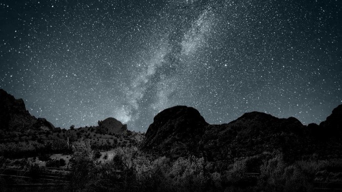 现今大部分哺乳动物都是六千万年前恐龙灭绝后的同一种哺乳动物的后代吗？